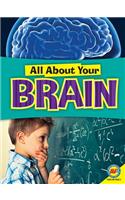 Brain: (All about Your...)