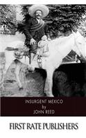 Insurgent Mexico