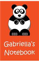 Gabriella's Notebook