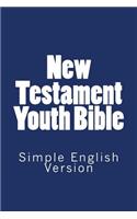 New Testament Youth Bible