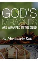 God's Miracles are Wrapped In The Seed