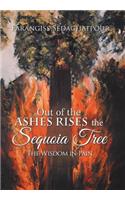 Out of the Ashes Rises the Sequoia Tree: The Wisdom in Pain