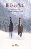 Horse in Winter