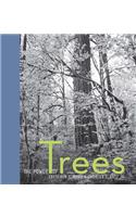 The Power of Trees