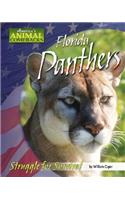 Florida Panthers: Struggle for Survival