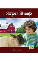 Super Sheep
