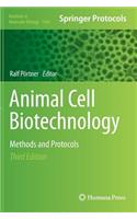 Animal Cell Biotechnology