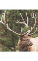 Elk