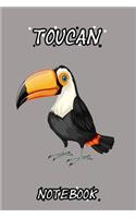 Toucan notebook