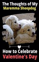 Thoughts of My Maremma Sheepdog