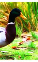 Duck Notebook