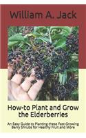 How-to Plant and Grow the Elderberries