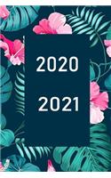 2020 / 2021