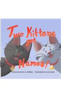Two Kittens Get Names