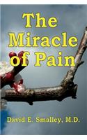 The Miracle of Pain