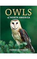 Owls of North America