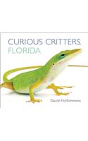 Curious Critters Florida