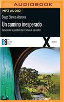 Un Camino Inesperado