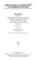 Improving efficiency and ensuring justice in the immigration court system