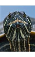 Turtle Bullet Journal: Slider Turtle Stare Down(large Bullet Journal 8.5 X 11) (Comfortable 1/4 Inch Dot Grid) (140 Pages, Soft Cover)
