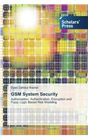 GSM System Security