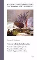 Phanomenologische Kulturkritik