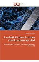 Interet des proteines morphogenetiques osseuses en implantologie
