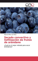 Secado convectivo y liofilización de frutos de arándano