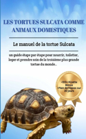 Les Tortues Sulcata Comme Animaux Domestiques