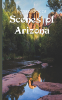 Picture Book Of Scenes Of Arizona