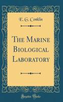 The Marine Biological Laboratory (Classic Reprint)