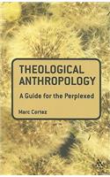 Theological Anthropology: A Guide for the Perplexed