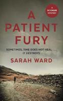 A Patient Fury: (DC Childs mystery)