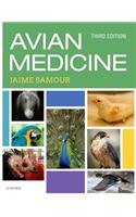 Avian Medicine