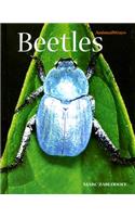 Beetles