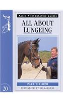 All about Lungeing