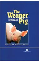 Weaner Pig