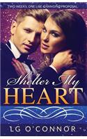 Shelter My Heart
