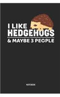 I Like Hedgehogs & Maybe 3 People Notebook