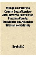 Villages in Pszczyna County