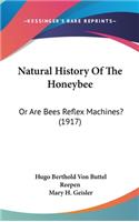 Natural History Of The Honeybee