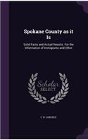 Spokane County as It Is