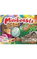 Minibeasts