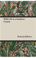 Wild Life in a Southern County