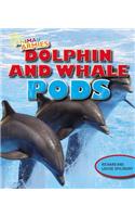 Dolphin and Whale Pods