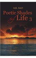 Poetic Shades of Life 3
