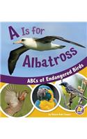 A is for Albatross