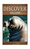 Sea Lion - Discover: Early reader's wildlife photography book(English)