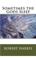 Sometimes the God's Sleep: (English)