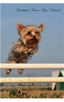 Yorkshire Terrier May Notebook Yorkshire Terrier Record, Log, Diary, Special Memories, To Do List, Academic Notepad, Scrapbook & More